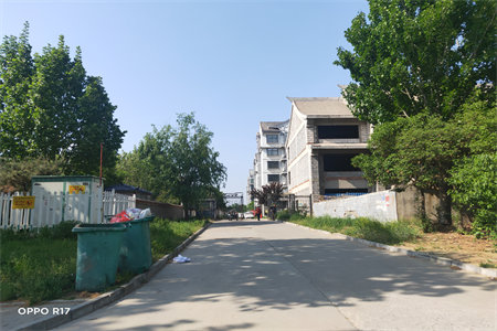 城北北辛学区房鸿福佳苑多层一楼3室